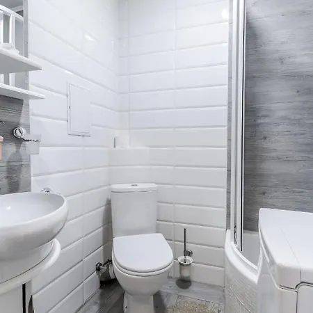 Modern Chaikovskogo Apartment Lviv